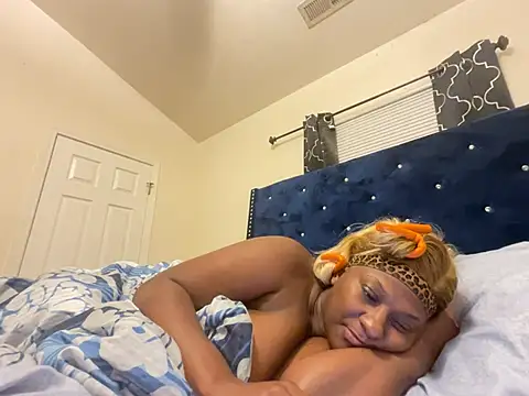 londynnvega webcam