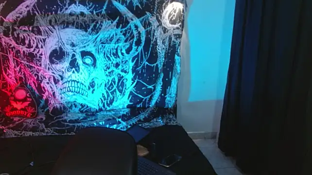 mikaskullcs webcam