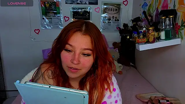 tetonic_04 webcam