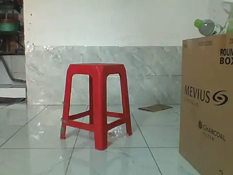 Palatable69-VN webcam