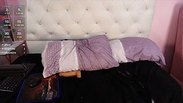 dakotaa_sky_ webcam