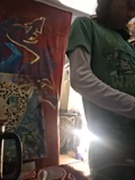 Toycockhot webcam