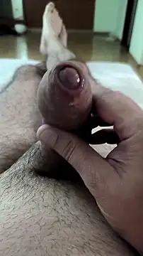 RT_SNW webcam