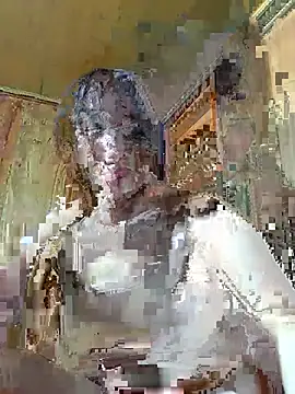 Biva11 webcam