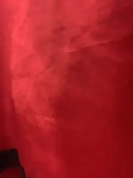 JerryJen11 webcam