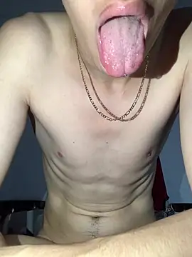MiroKari2 webcam