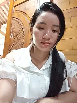 Td3di webcam