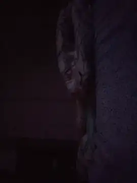 Puttymaxy00