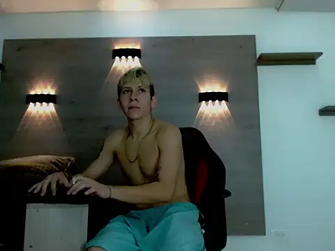 Gaeliitto webcam