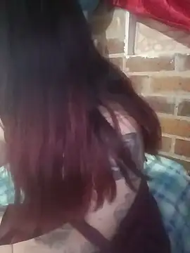 _Alaskamisa live webcam