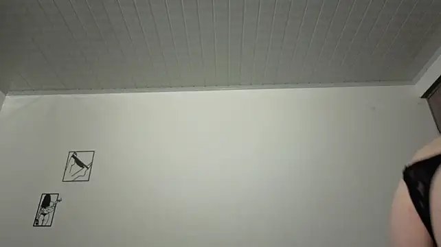 brandy_h9 webcam