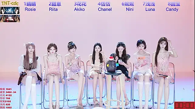 TNT-cdc webcam