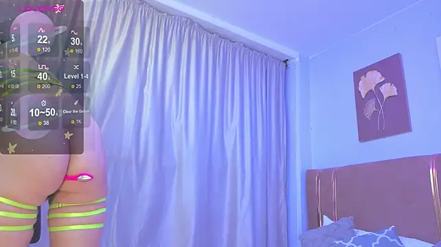 SALOME_F0X_ webcam