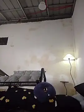 FynestBee webcam