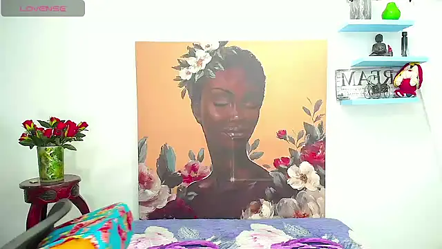karlaveckyts webcam