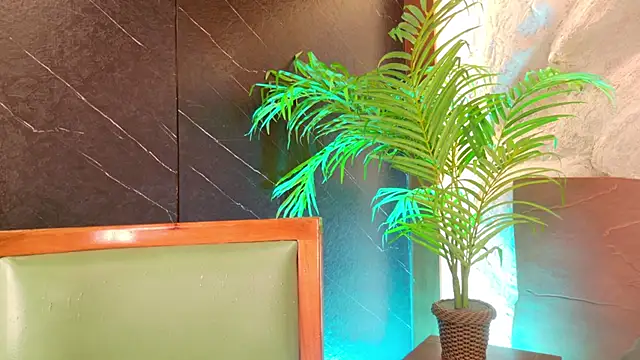 alisonn_moon webcam