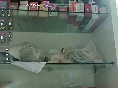 ZXLX888 webcam