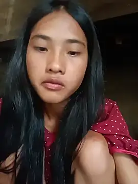 Hoa-tuylip webcam