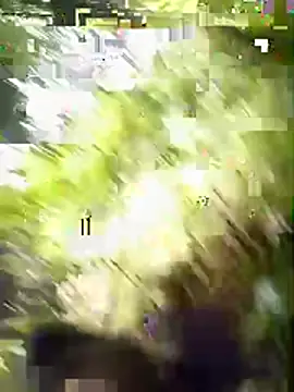 Kaa-kaa223 webcam