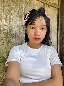Xiuxiu-zz webcam