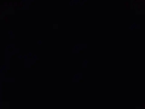 tarzanforsky webcam