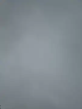 MerlinDave webcam