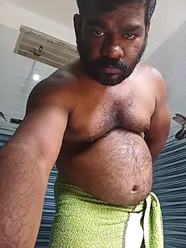 Hiptonos webcam