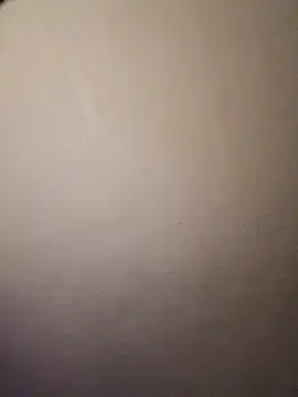 Jazzythorn88 webcam