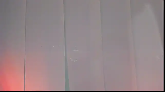 Vahl_- webcam