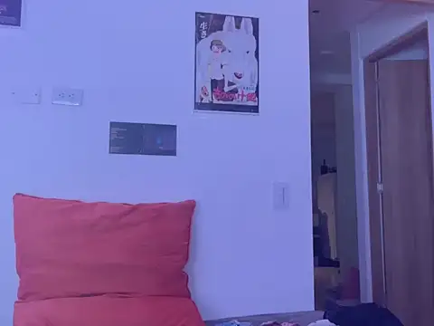 LiaMagnetic webcam