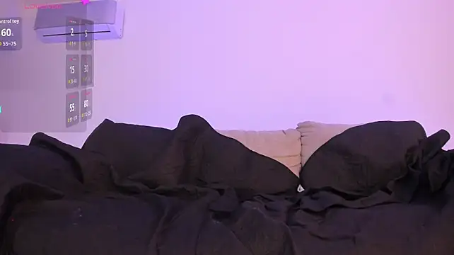 CataSaint webcam
