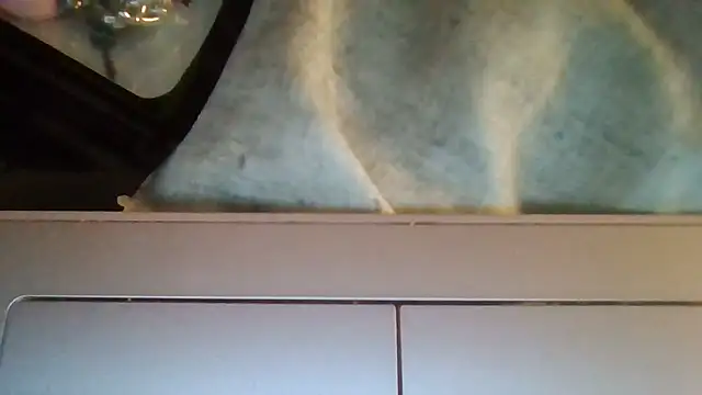 ThorsonFreja webcam