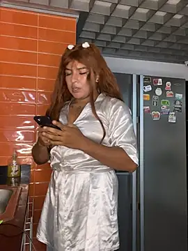 SiennaLane webcam
