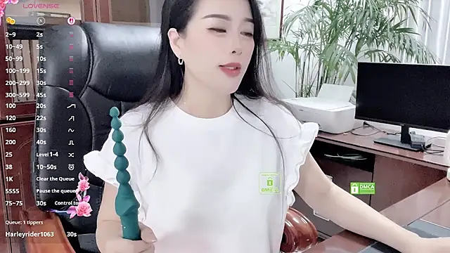 Kaixin520 webcam