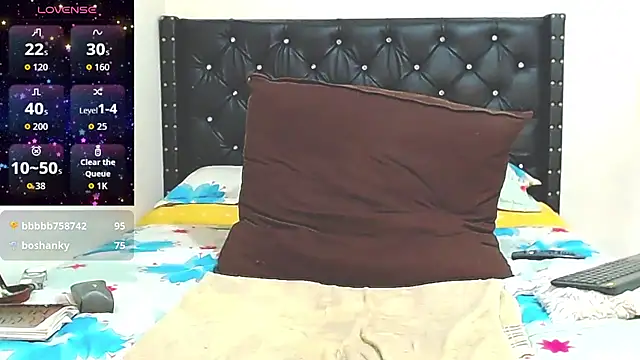 AnySugar webcam