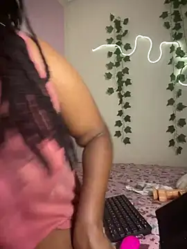 Sollybunny webcam