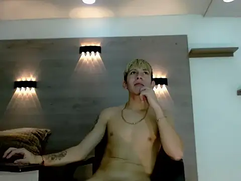 Gaeliitto webcam