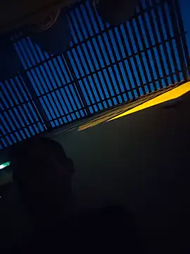 Hgay6935 webcam