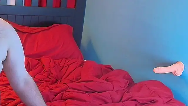 lefty15242 webcam