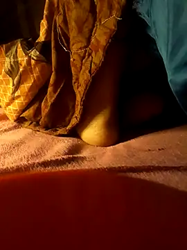 -Tara-a webcam