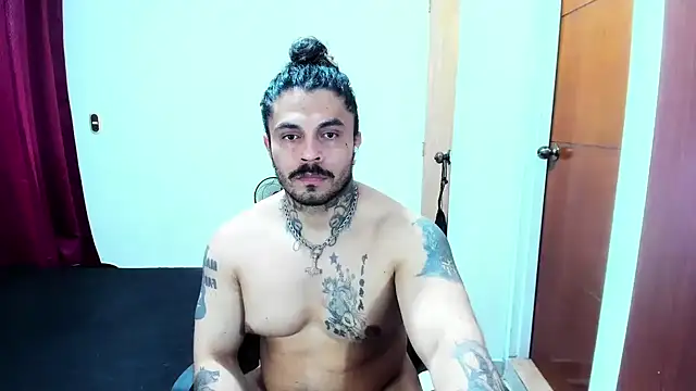 Van_Velckan webcam