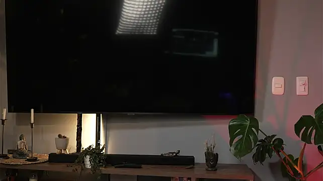 Danna-Saenz webcam