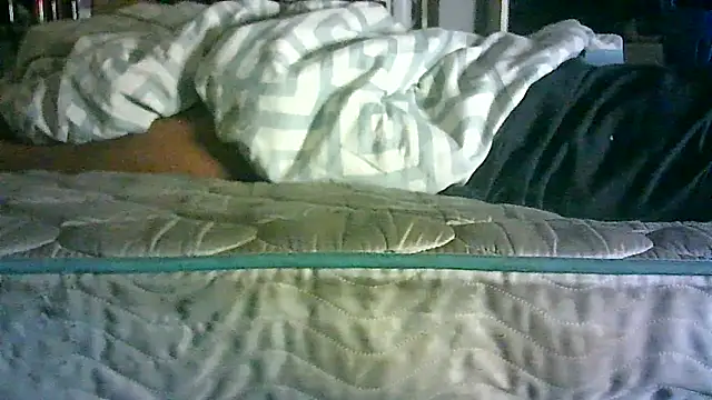 CR3M3_FIR3 webcam