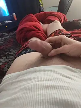 BigD9331 webcam