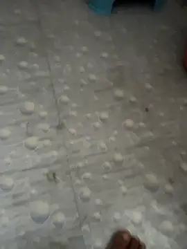 NoddingScorpion webcam