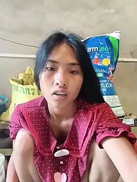 Hoa-tuylip