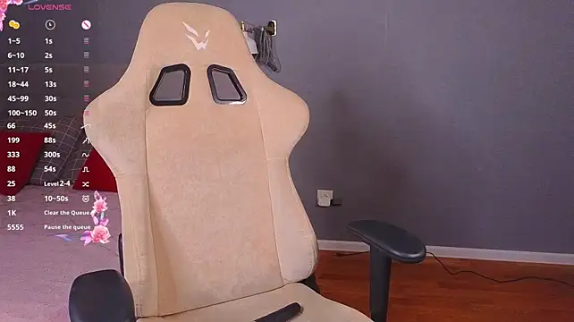 stelamontis webcam