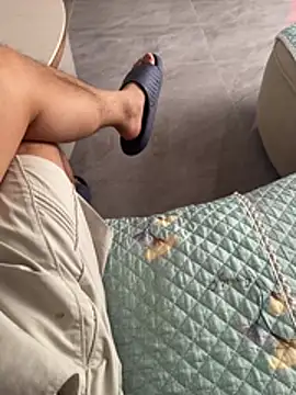 hjlp012 webcam