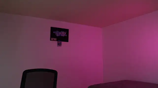 trieone webcam