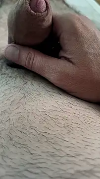 RT_SNW webcam